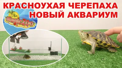 фигурка Красноухая черепаха - купить в магазине БронзаМания