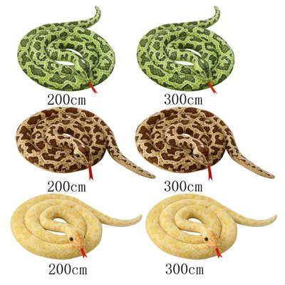 Молочная змея синалойская (Lampropeltis triangulum sinaloae) купить в  Планете экзотики