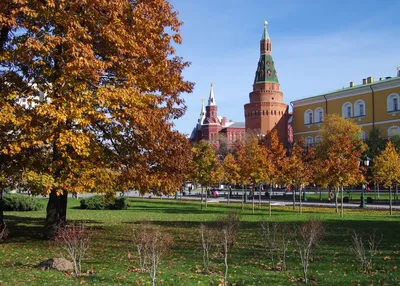 Экскурсия в Оружейную палату «Сокровища Московского Кремля»: 🗓 расписание,  ₽ цены, купить 🎟 билеты онлайн