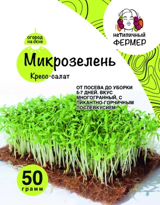 Микрозелень Кресс-салат (50г) НФ - Нетипичный фермер