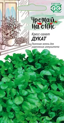 Купить семена Кресс-салат Дукат Урожай на окне. Доставка по всей Беларуси и  в Минске