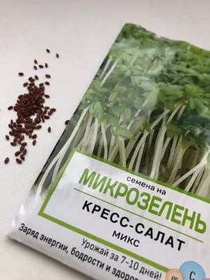 Микрозелень: кресс-салат на подоконнике | Комнатные цветы и уход за ними