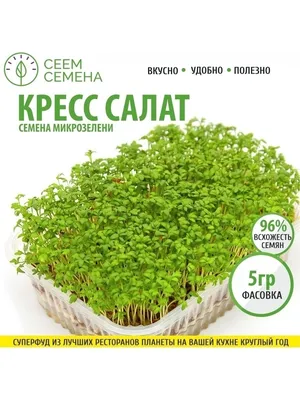 Микрозелень Сеем семена Кресс-салат | отзывы