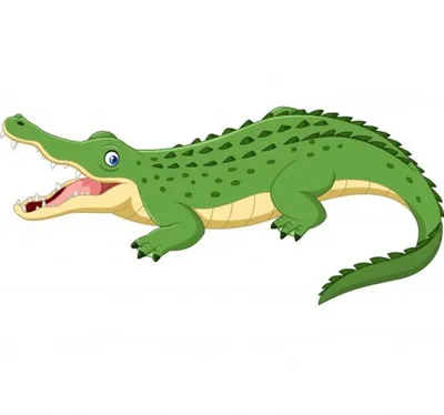 Крокодил для детей фото