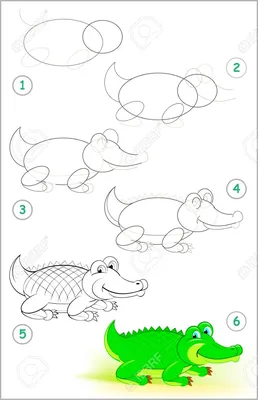 Раскраски Крокодил для детей распечатать бесплатно в формате А4 (22  картинки) | RaskraskA4.ru