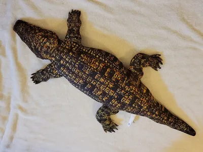 Американские ученые обнаружили способность крокодила к непорочному зачатию  - 07.06.2023, Sputnik Армения