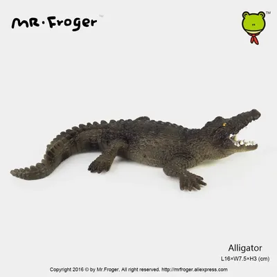 Аллигатор или крокодил открывает рот в зоопарке Стоковое Фото - изображение  насчитывающей развилки, челюсть: 183080266