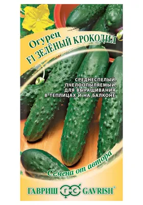 Крокодил в костюме огурца» — создано в Шедевруме