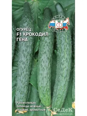 В Удмуртии можно сделать крокодила из огурца, а Чебурашку – из картошки »  Новости Ижевска и Удмуртии, новости России и мира – на сайте Ижлайф все  актуальные новости за сегодня