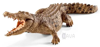 Фигурка Крокодил 14736, Schleich - Купить в Украине | БАВА |