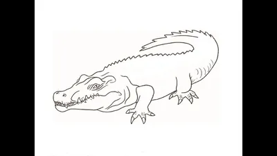 How to Draw a Crocodile / Как нарисовать крокодила - YouTube