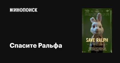 Как надо кормить кролика, чтобы он вырос гигантом | Умный Фермер | Дзен