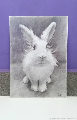 Портрет кролика Картина с кроликом Животные в графике Зайчик рисунок –  купить онлайн на Ярмарке Мастеров – RSEMQRU | Картины, Алексеевка
