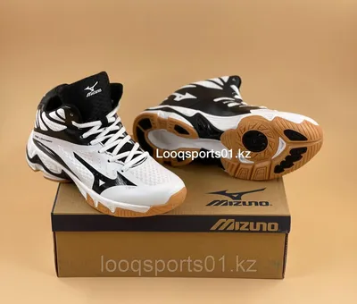 Волейбольные кроссовки Mizuno Wave Lightning (2277) (id 97835516), купить в  Казахстане, цена на Satu.kz