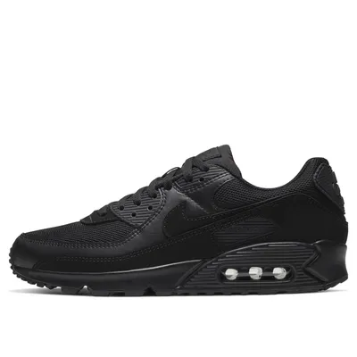 Мужские кроссовки NIKE AIR MAX TERRASCAPE 90 DH4677-400 ᐉ gadgitec.ua