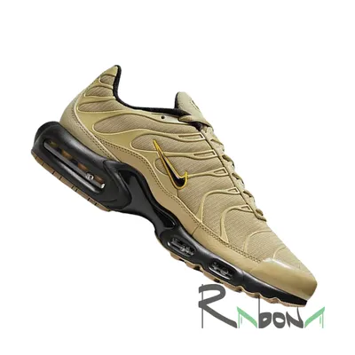 Кроссовки Nike Air Max Plus 700 DZ4501-700 купить недорого в Киеве, Днепре,  Львове