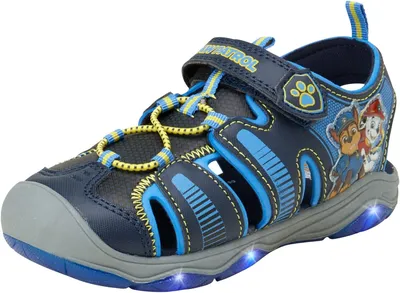 Paw Patrol Hi-Top Shoes for Kids, Hi-Top Canvas Sneaker with Toe Bumper,  Grey, Little Kid Size 12 - Walmart.com