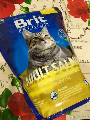 Сухой корм для кошек Brit salmon ADULT - «Единственный корм, который  подошел обеим моим кошкам» | отзывы