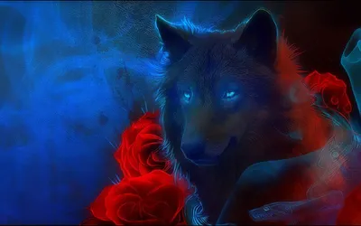 Чёрный волк с красными глазами арт - 69 фото