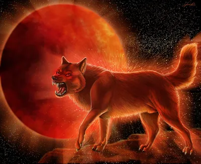 Красный волк арт - 56 фото
