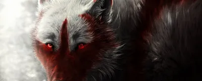 Волк с красными глазами - 76 фото
