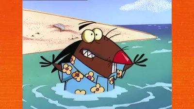 Термонаклейка Норберт Фостер c мультфильма Крутые Бобры - Angry Beavers,  термоперенос на ткань - купить аппликацию, принт, термо