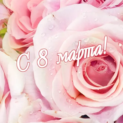 Крутые русские розовые наклейки для 8-го марша. перевод на 8 марта  счастливый международный женский день. Русский юмор Иллюстрация штока -  иллюстрации насчитывающей разветвляя, смешно: 242469205