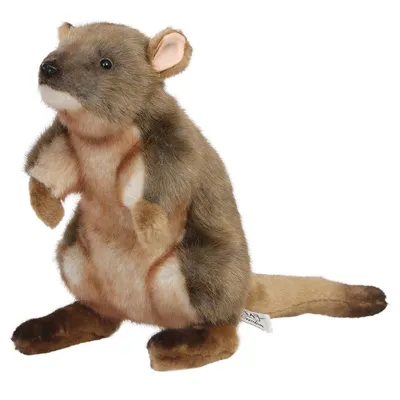 Реалистичная мягкая игрушка Hansa Крыса потору 24 см купить по цене 2588 ₽  в интернет-магазине Детский мир