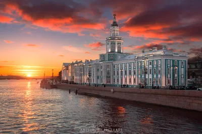 Кунсткамера, Санкт-Петербург. Ноябрь 2022 | Пикабу