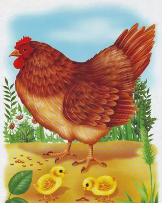 Курица рисунок для детей - 34 фото
