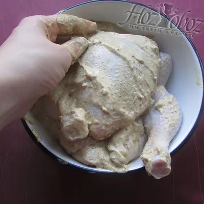 Курицы гриль - рецепты с фото на Повар.ру (75 рецептов курицы гриль)