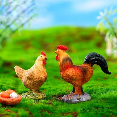 Петух и курица - Всё для флорариума