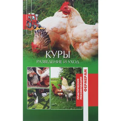 Куры несушки купить в Саратовской области | 59835