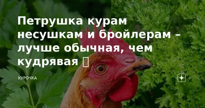 Курица пеструшка» — создано в Шедевруме