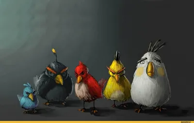 красивые картинки :: обои (большой размер по клику) :: Angry Birds :: Angry  Birds :: личное :: птица :: Игры / картинки, гифки, прикольные комиксы,  интересные статьи по теме.