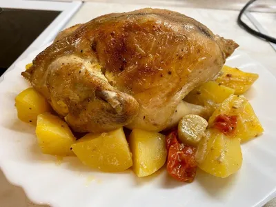 Курица с помидорами в духовке рецепт фото пошагово и видео - 1000.menu