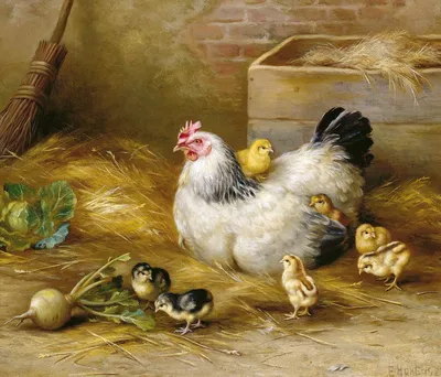 Курица с цыплятами картинки для детей - 33 фото