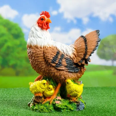 Сколько цыплят может высидеть одна курица - новости meatinfo.ru