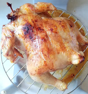Курица в аэрогриле целиком рецепт с фото пошагово - 1000.menu