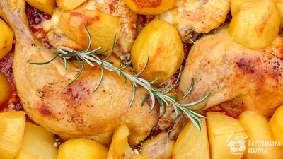 Курица в духовке с картошкой фото