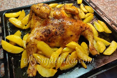 Курица на соли в духовке целиком – рецепт с фото | Дачная кухня (Огород.ru)