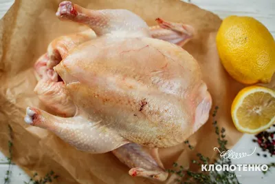 10 лучших способов запечь курицу с картошкой в духовке - Лайфхакер