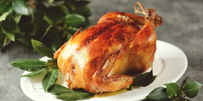 8 идеальных рецептов вкусной курицы в духовке | Mixnews