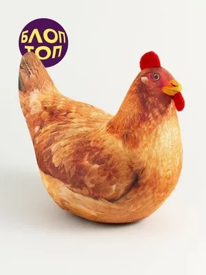 Курица антистрессовая игрушка детям шлепа БЛОПТОП 26916250 купить в  интернет-магазине Wildberries