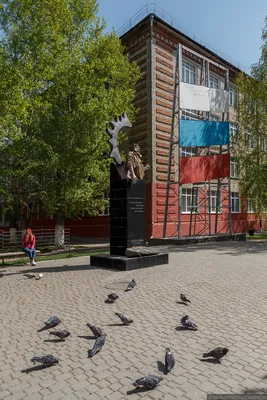 Жители Барнаула заметили сову и сняли ночную красавицу на видео