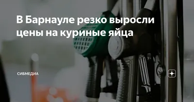 Как дальше будут дорожать яйца и куриное мясо после того, как Россия  обнулила таможенные пошлины на куриное мясо - 27 декабря 2023 - ngs22.ru