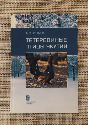 2021 год,посетил Якутск после пожаров! С трепетом представляю вам эту  стенку… | Алкидный: Птицы и стрит арт | Дзен