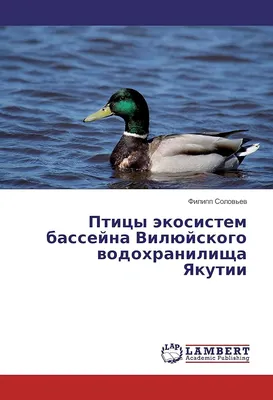 Фото: Папа Рико, доставка еды и обедов, просп. Ленина, 58, Якутск — Яндекс  Карты