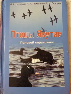 Инфографика: где и когда в Якутии начнется весенний сезон охоты? — Улус  Медиа