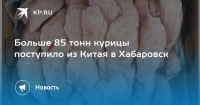 Хабаровский дендрарий встречает перелётных птиц